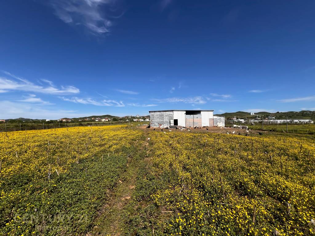Land for sale near Lalzi Bay