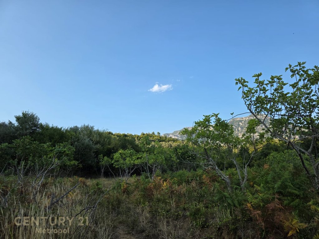 Plots of Land for Sale on the Outskirts of Krujë