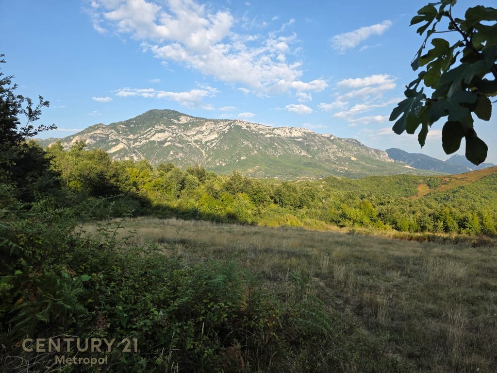Plots of Land for Sale on the Outskirts of Krujë