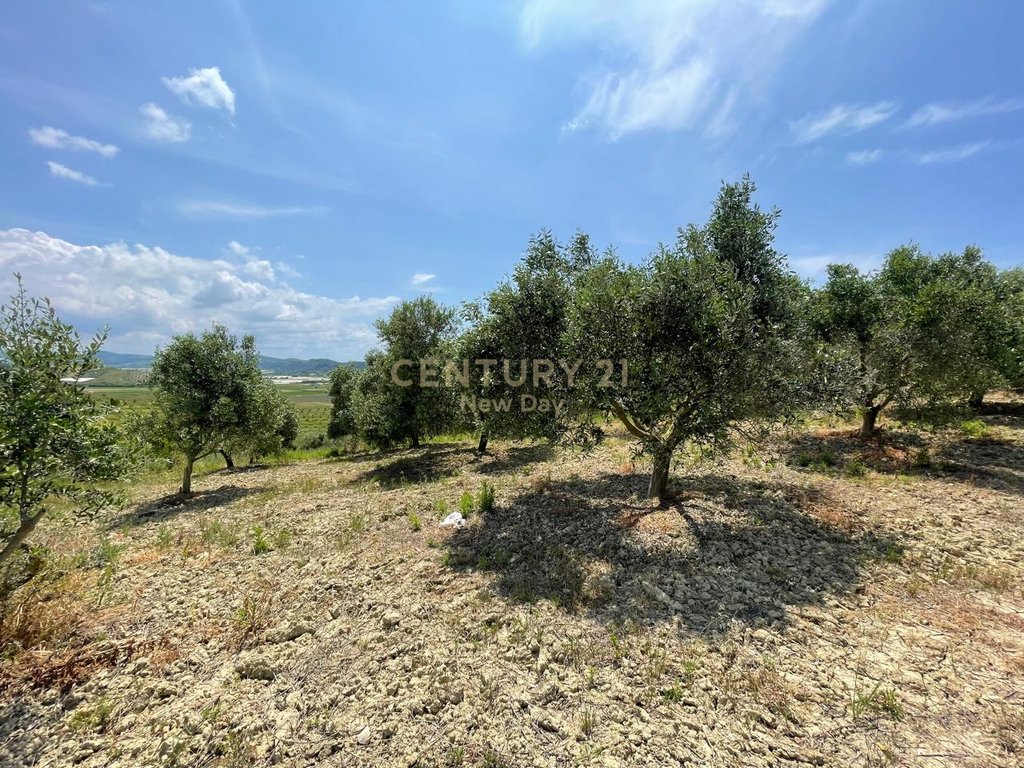 ARE LAND FOR SALE IN HABILAJ, KAVAJE!