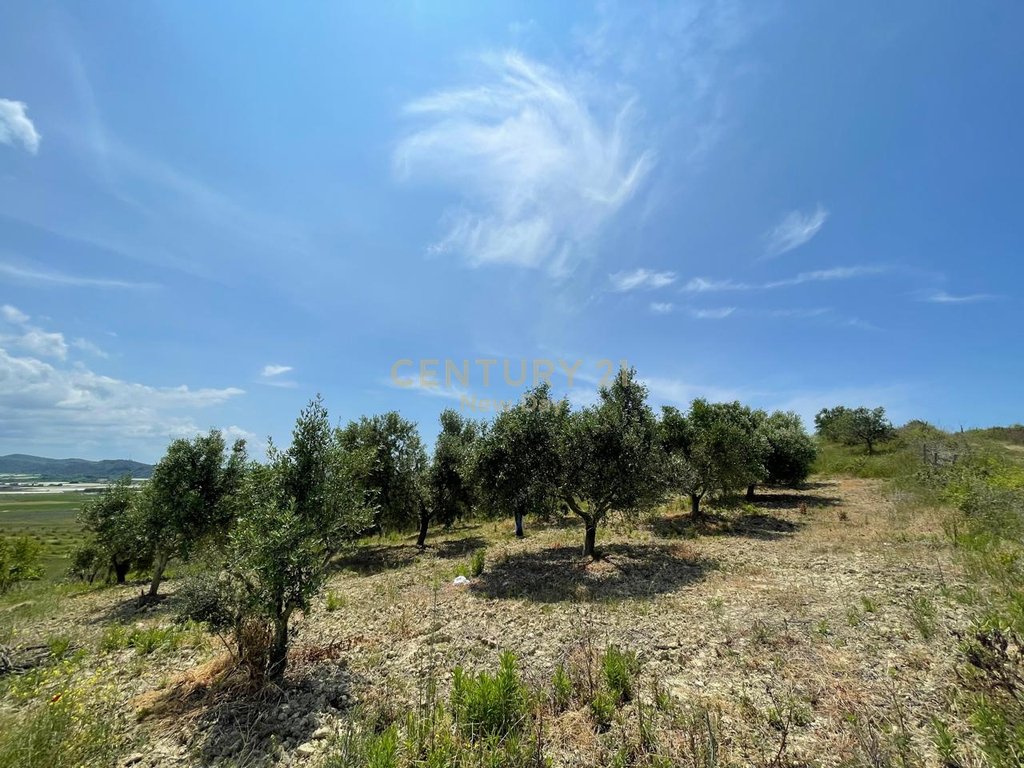 ARE LAND FOR SALE IN HABILAJ, KAVAJE!