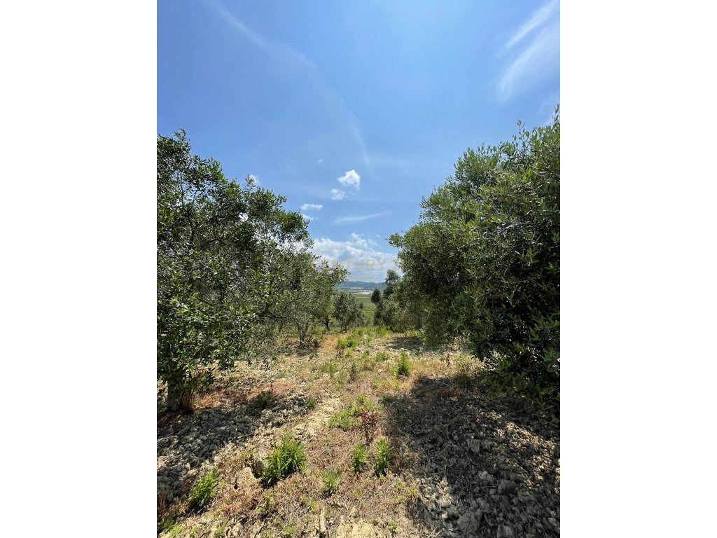 ARE LAND FOR SALE IN HABILAJ, KAVAJE!