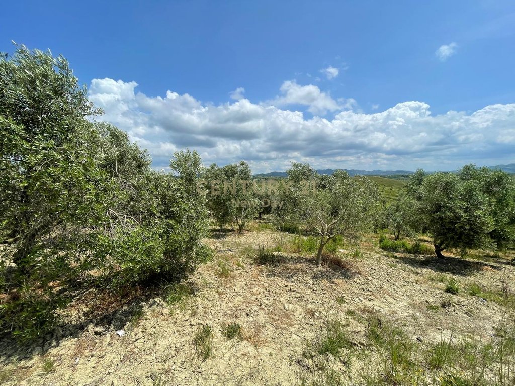 ARE LAND FOR SALE IN HABILAJ, KAVAJE!
