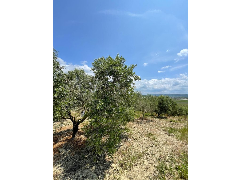 ARE LAND FOR SALE IN HABILAJ, KAVAJE!