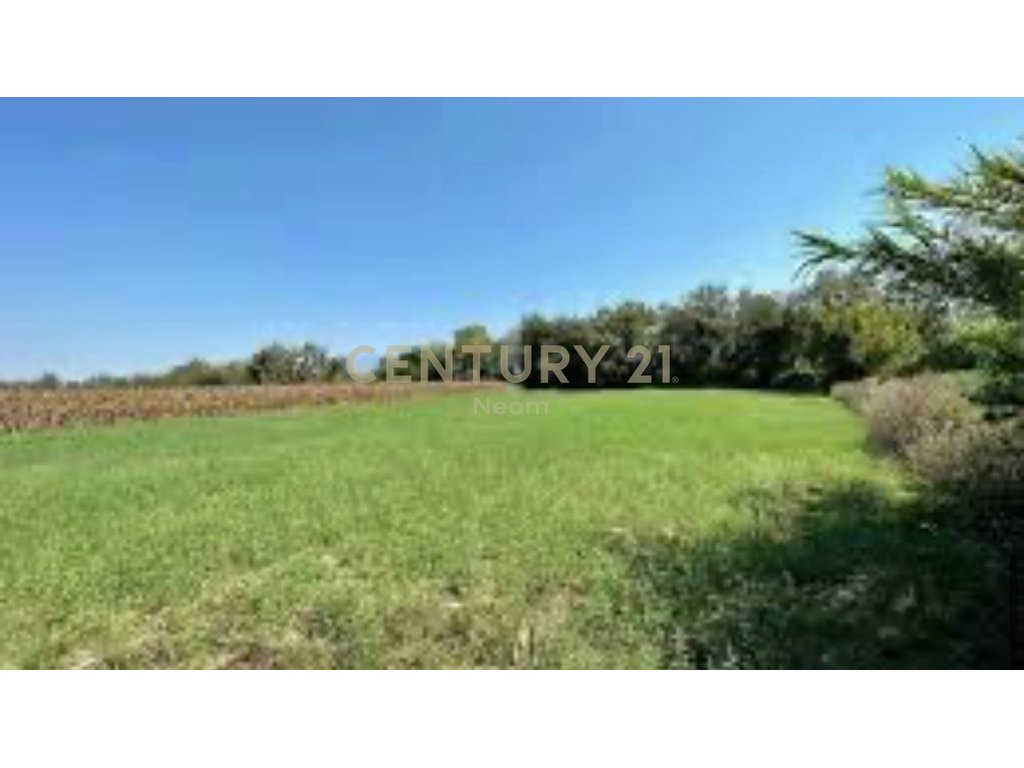 LAND FOR SALE IN BERXULLE, TIRANA