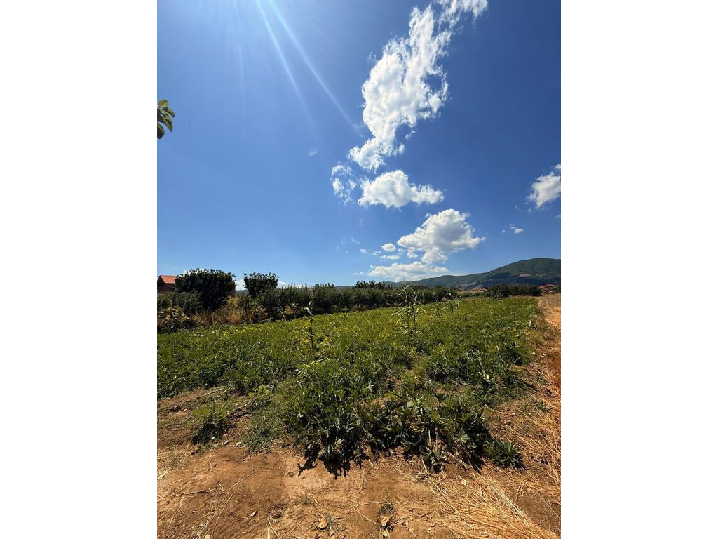 NEHEMIA SCHOOL MBRAPA – LAND FOR SALE 1934 M²
