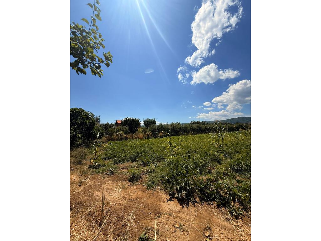NEHEMIA SCHOOL MBRAPA – LAND FOR SALE 1934 M²