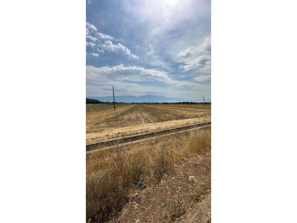 FERTILE LAND – 1,176 m² FOR SALE • AGRICULTURAL USE
