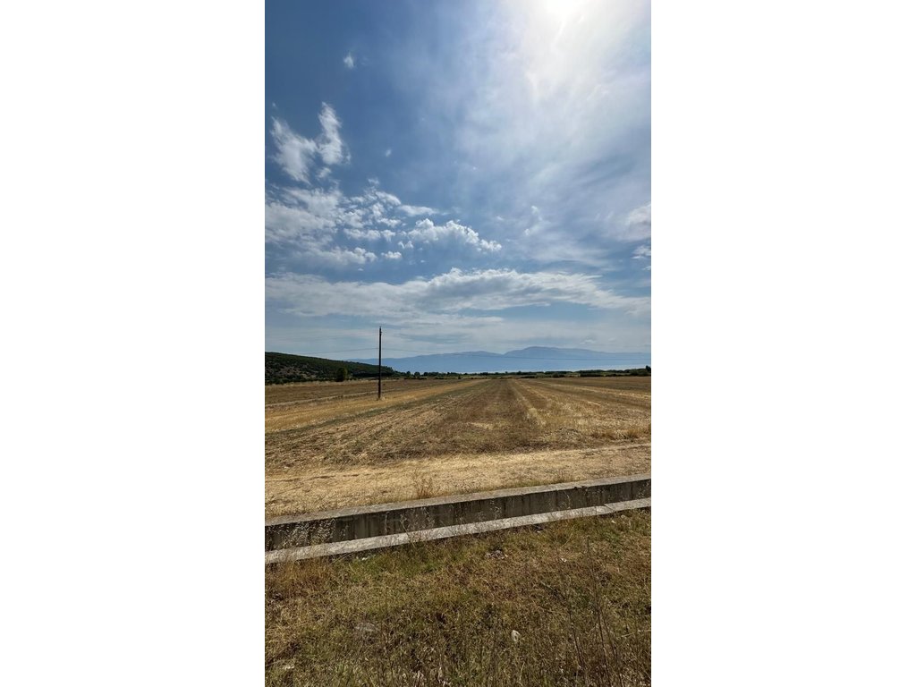 FERTILE LAND – 1,176 m² FOR SALE • AGRICULTURAL USE