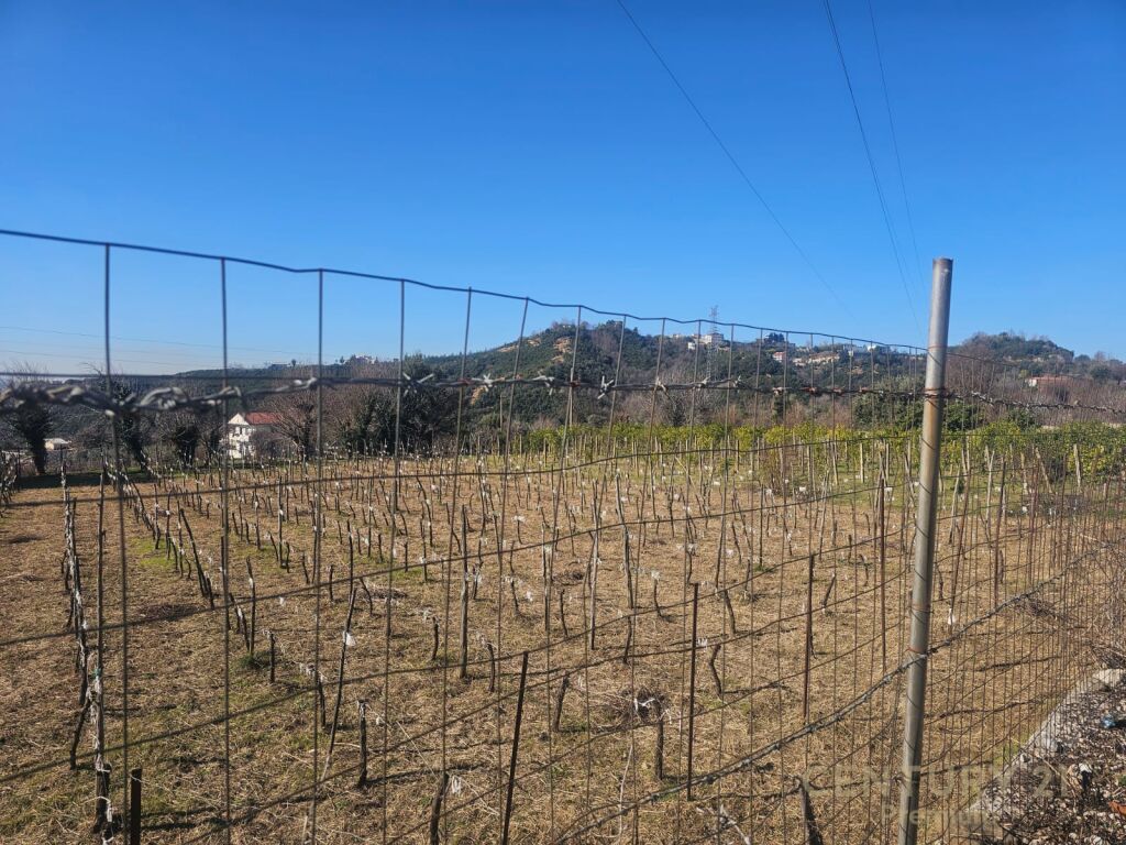 LAND FOR SALE IN LANABREGAS, DAJT!