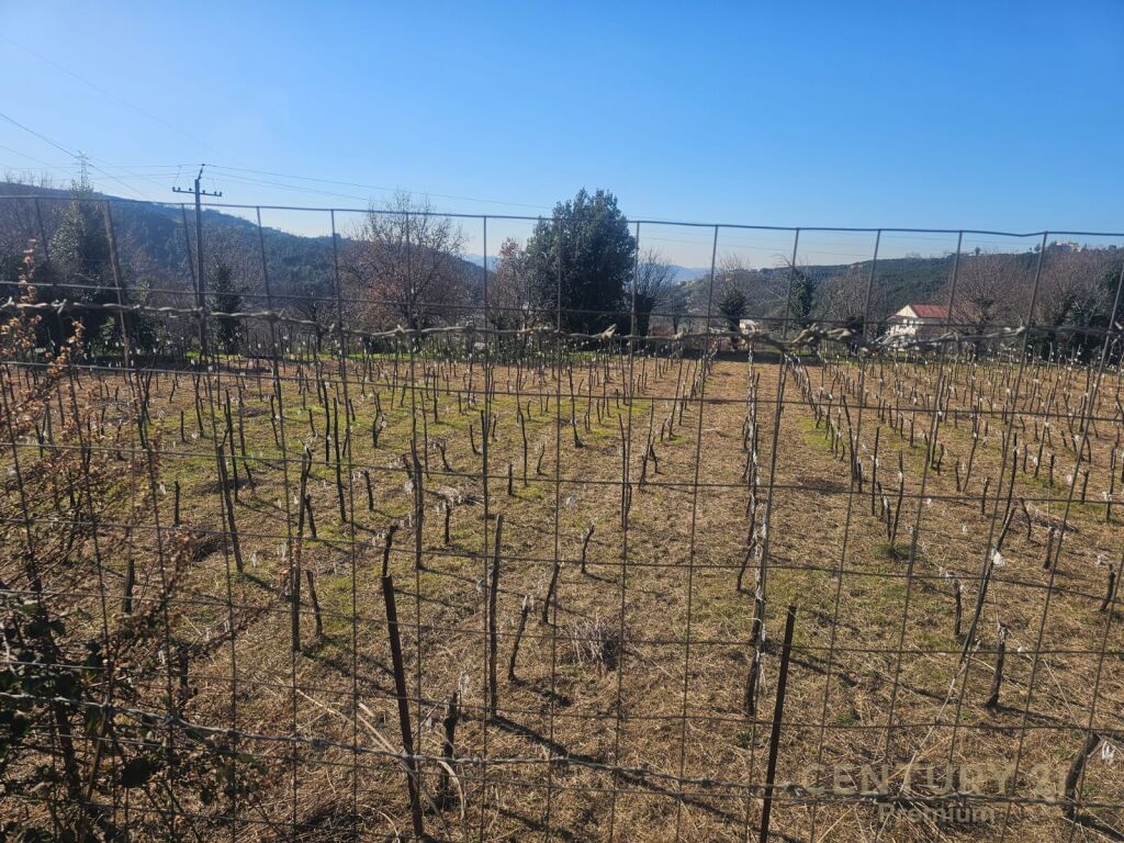 LAND FOR SALE IN LANABREGAS, DAJT!