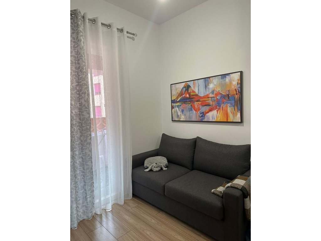 1+1 Apartment for Rent in Ali Demi, Tirana