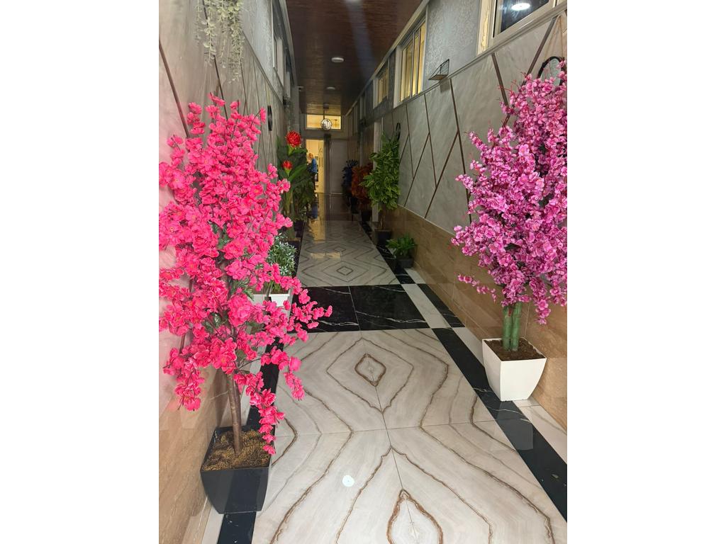 1+1 Apartment for Rent in Ali Demi, Tirana
