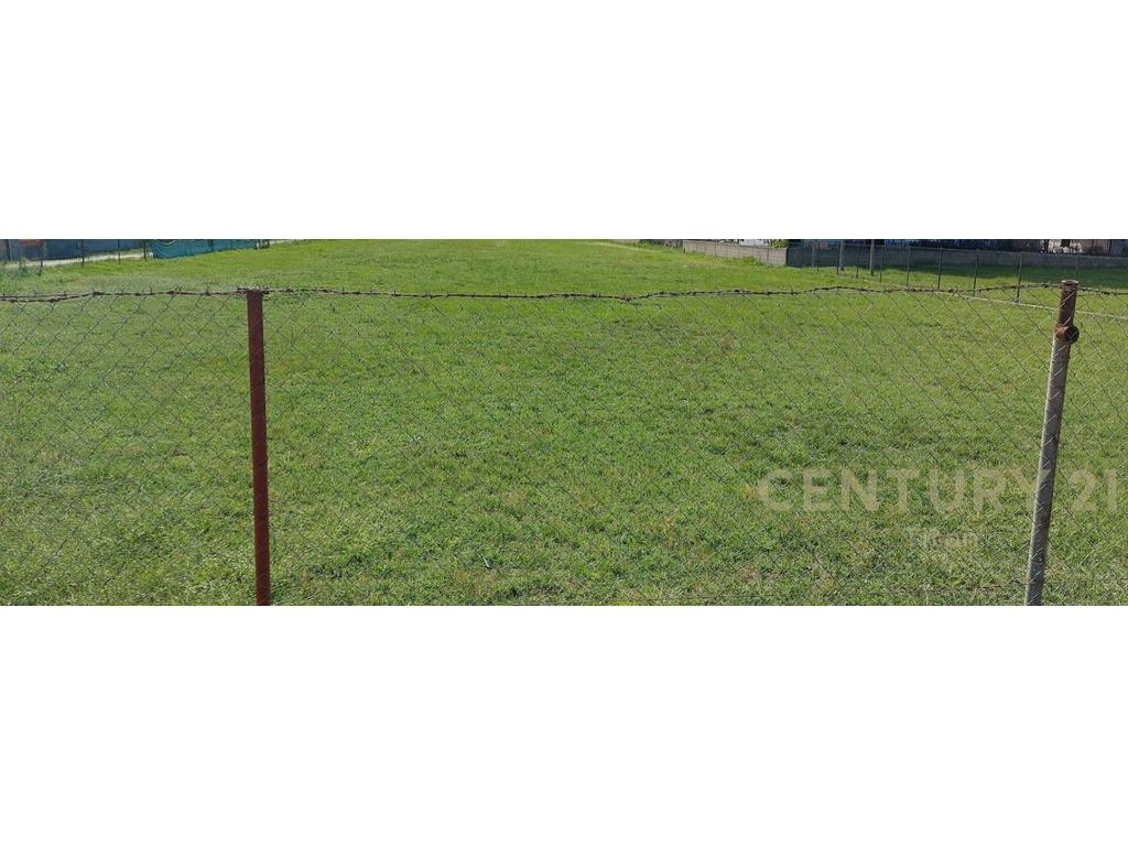 SHITET TOKE 6380m2, NE KAMEZ!!