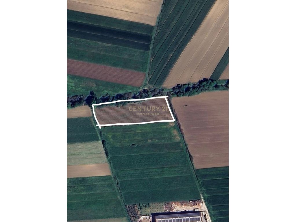 Land for Sale in Maminas - 6791 m²!