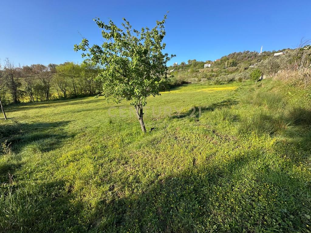 3500 m2 land for sale near Kashar lake – with tourism potential!