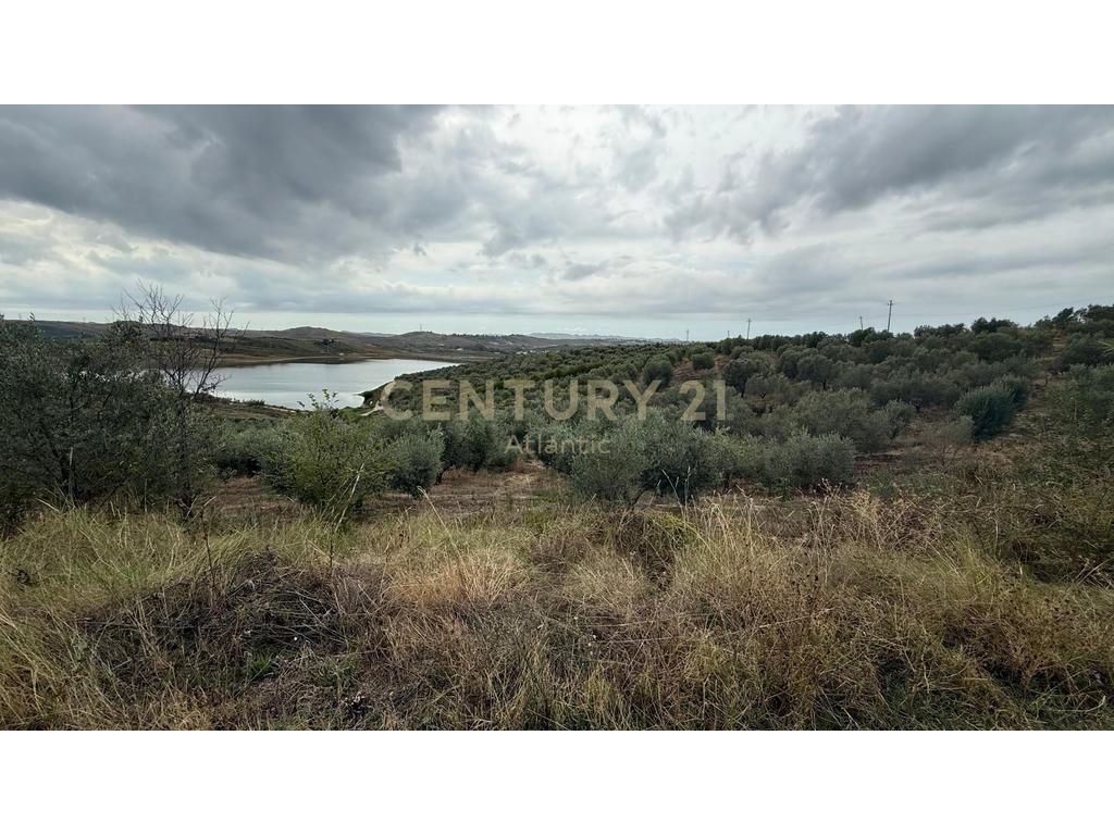 Land for Sale in the Suburbs of Shijak - €315,000 | 10459 m²