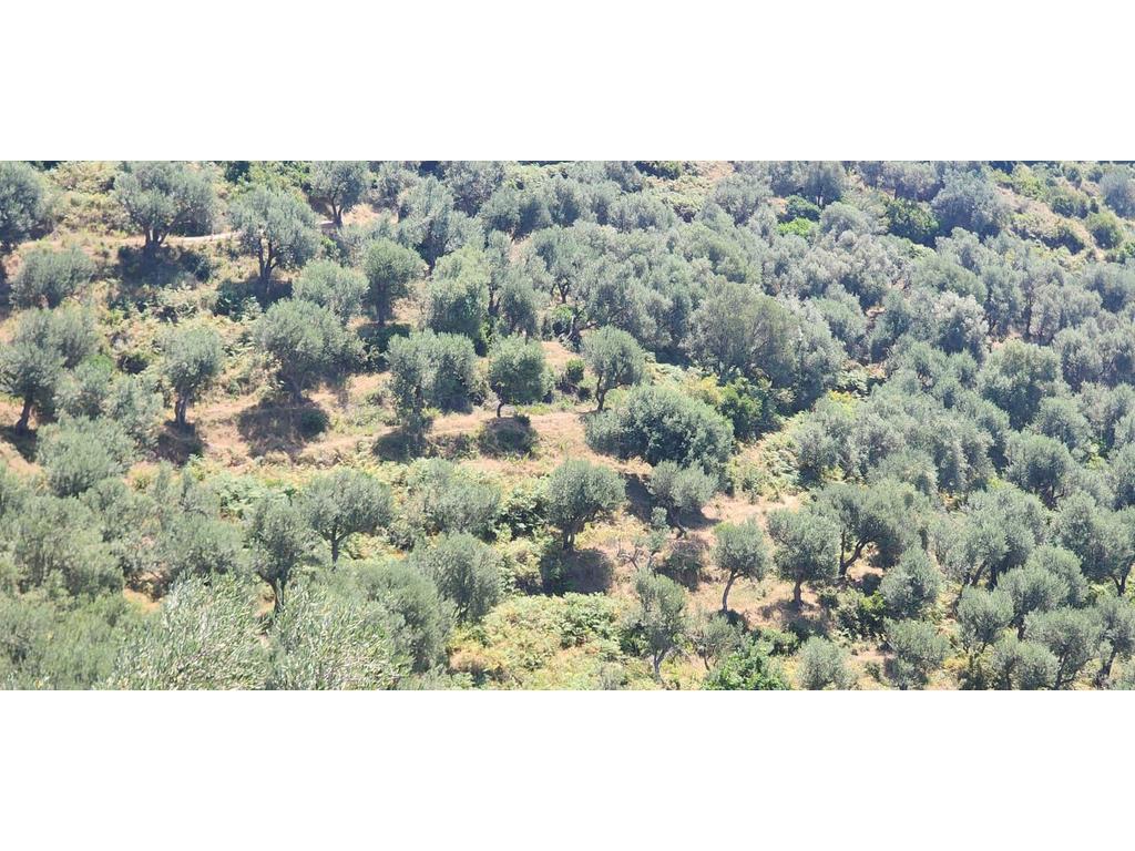 LUKOVE, LAND FOR SALE