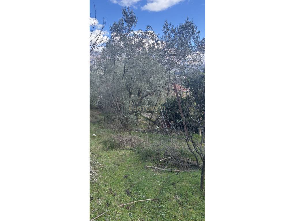 LAND FOR SALE (OLIVE GROVE) 680 m² IN BABRRU – WITH REGULAR DOCUMENTATION *RED ZONE*