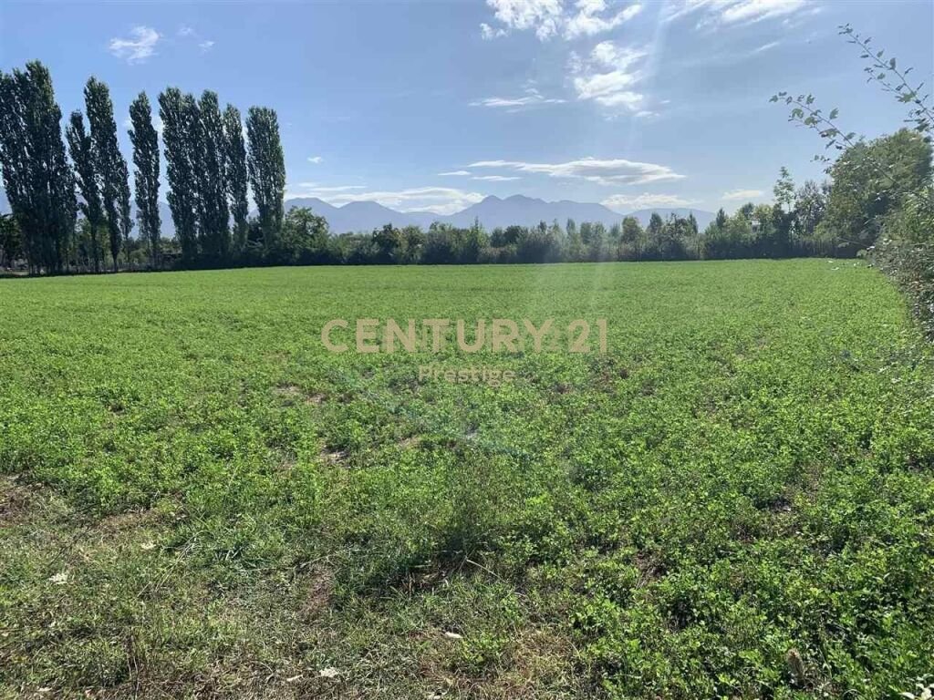 SALE LOT LOCATED IN RINAS!
