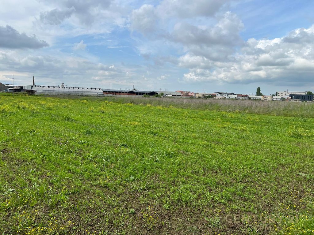 Land for Sale in Maminas!