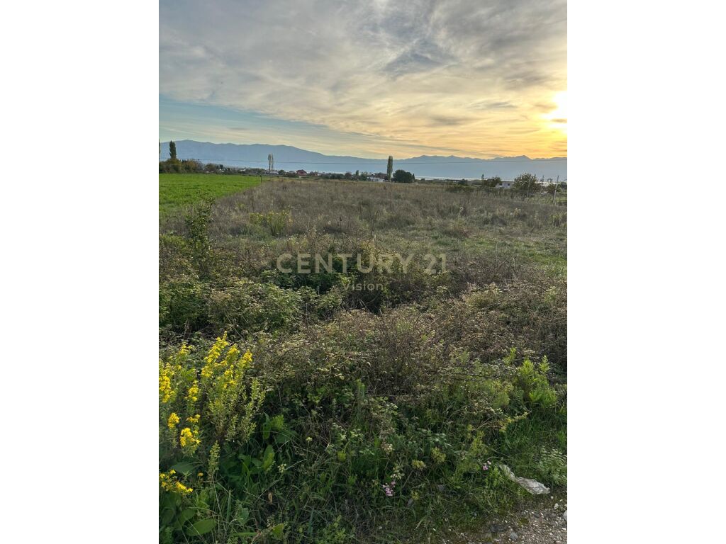 Arable land for sale in Vrakë, Shkodër - 5000 m²