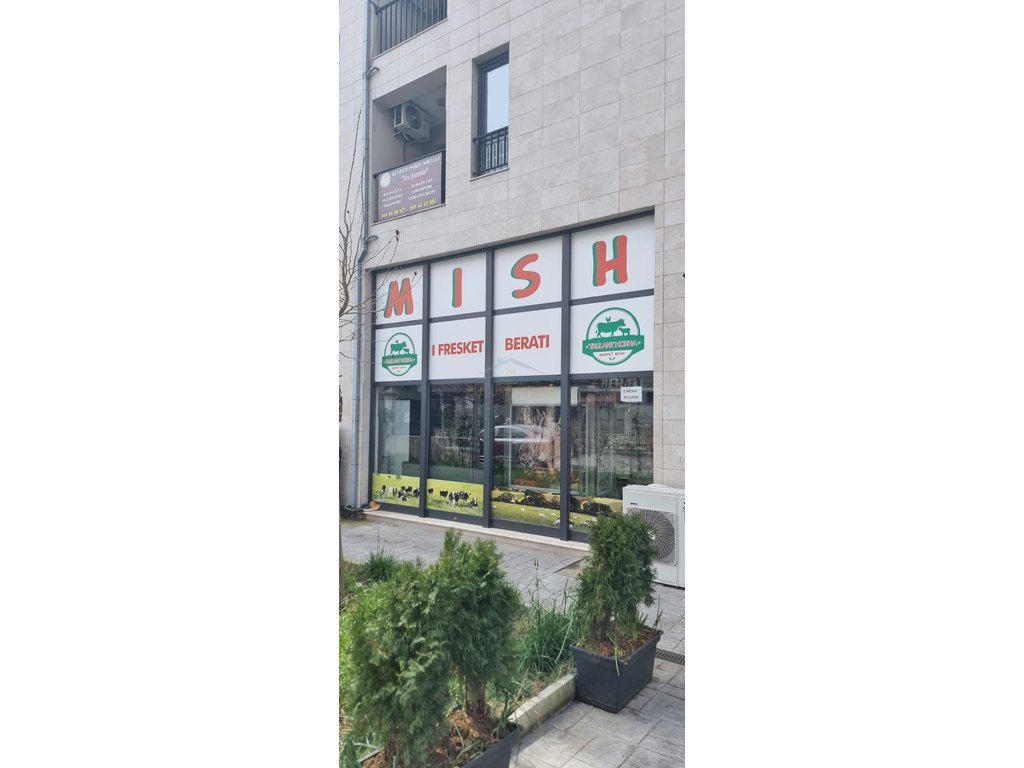 Rent,Business Environment,Yzberisht,Tirana