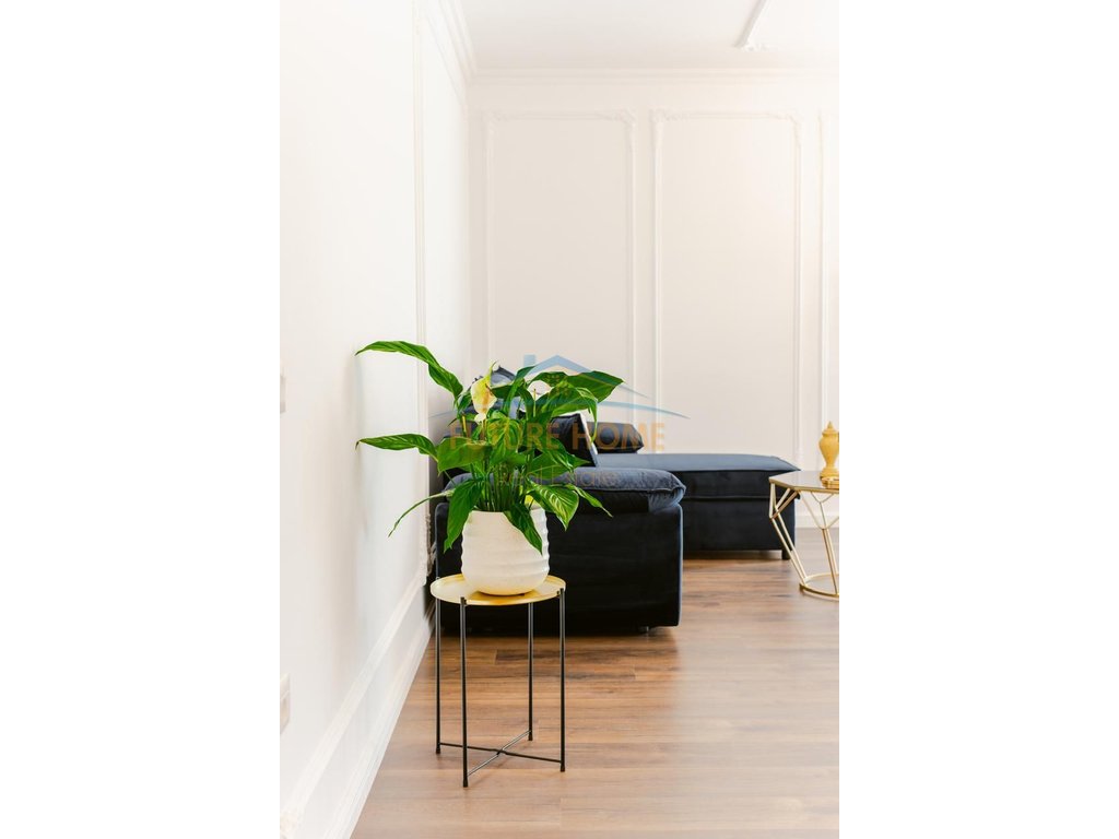 Qera, Apartament 1+1, Unaza e re, Tiranë