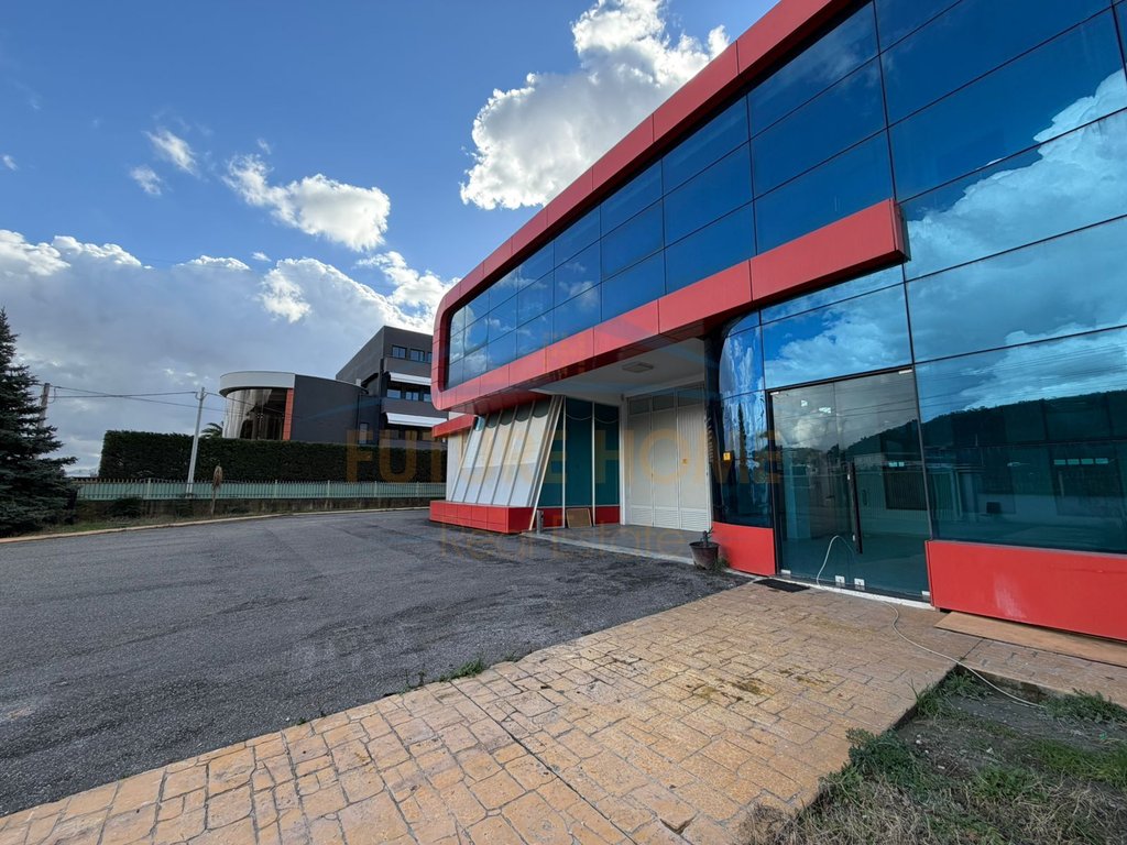 Rental, Warehouse, Bush, Tirana