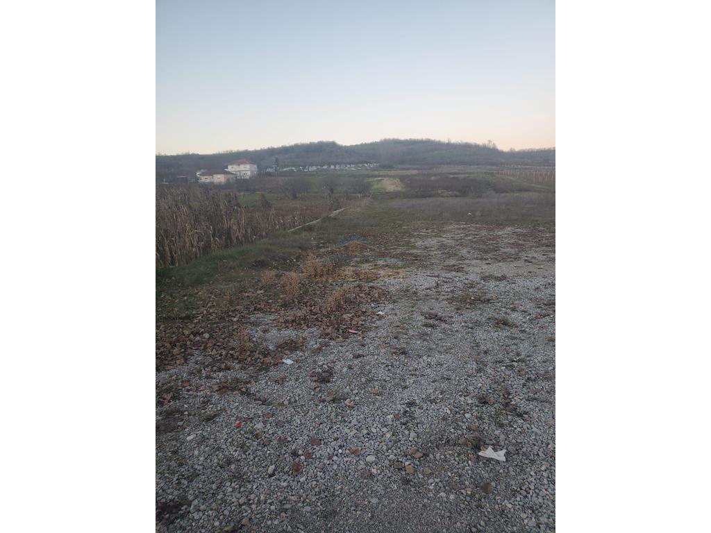 Rent, Arable Land, Leshnicë, Pogradec