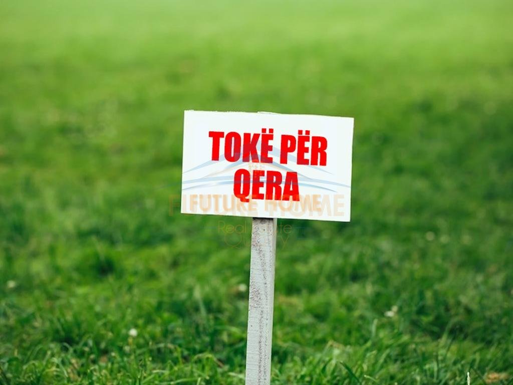 Rent, Land, Kamëz.