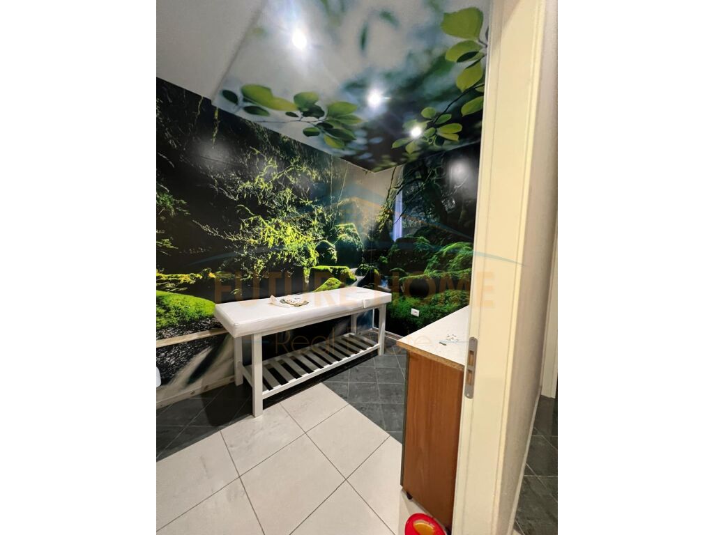 Business Premises, Center, Tirana.