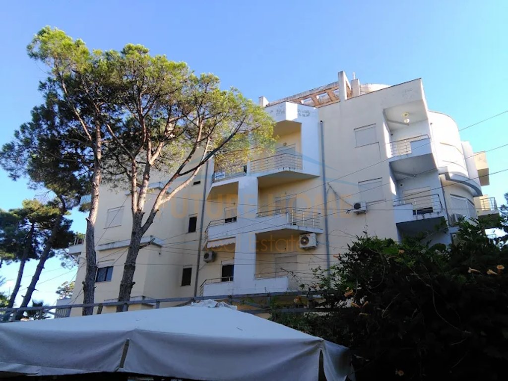 Shitet, Apartament 2+1, Golem
