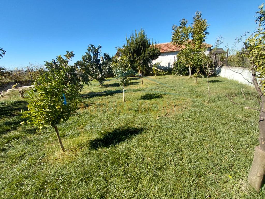 For Sale, Private 3-Storey House + Land + Greenhouse, Synej, Kavajë