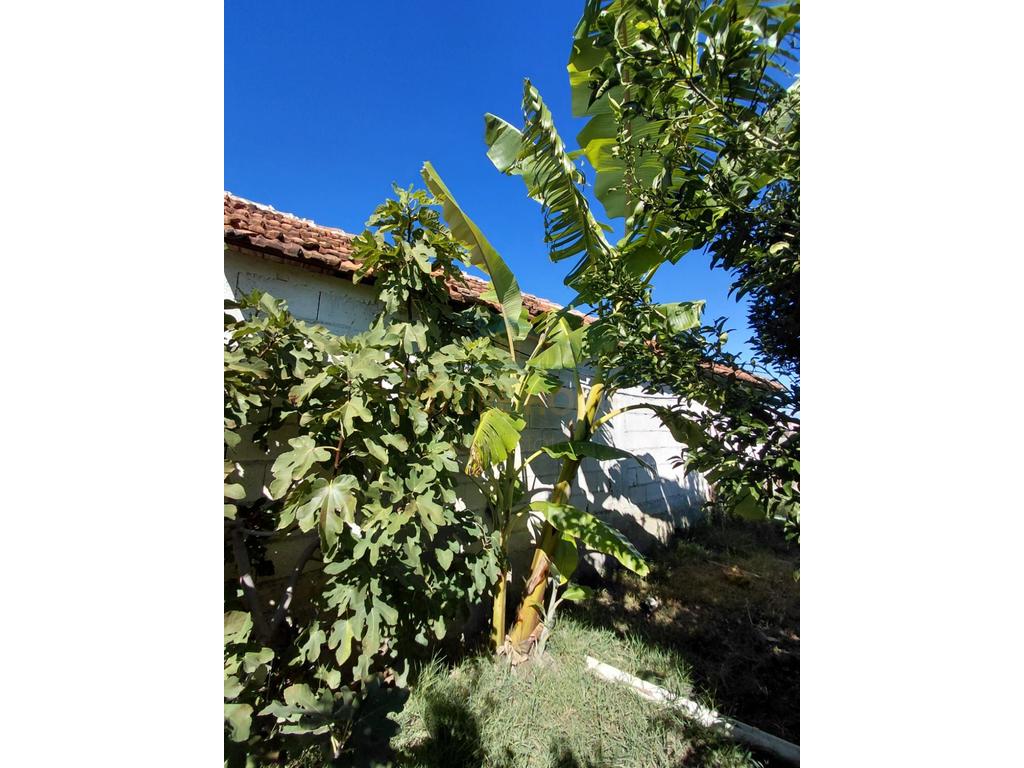 For Sale, Private 3-Storey House + Land + Greenhouse, Synej, Kavajë