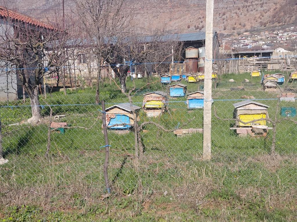 For sale, Private House + Land + Arable Land, Podgorie, Maliq