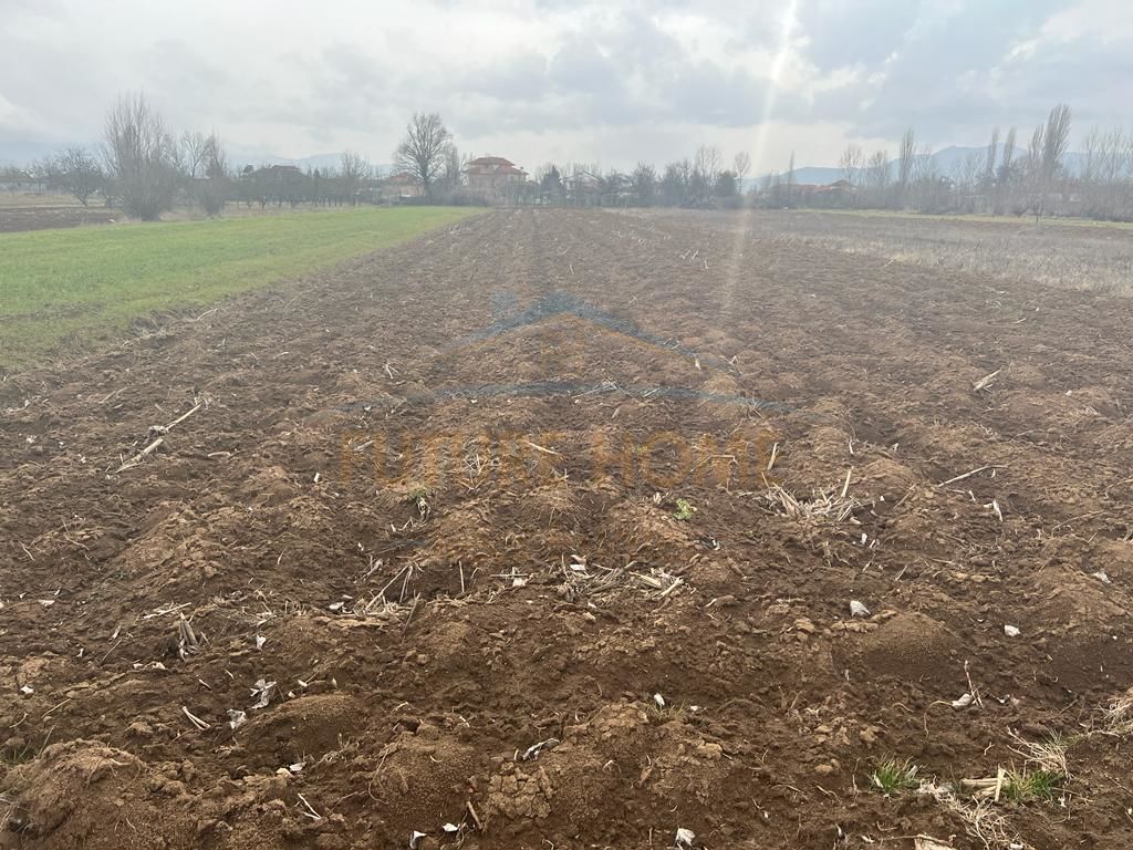 For Sale, Arable Land, Bulgarec, Korça