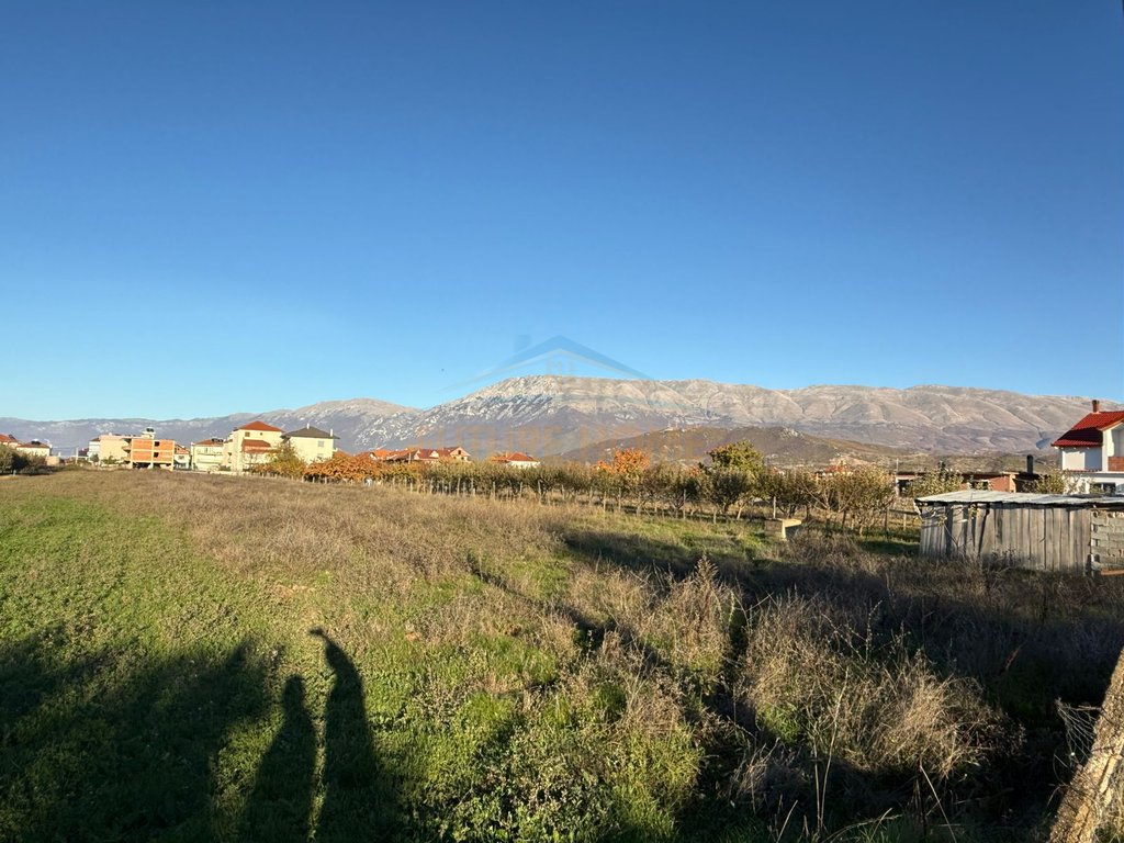 For sale, Arable Land, Bucimas, Pogradec