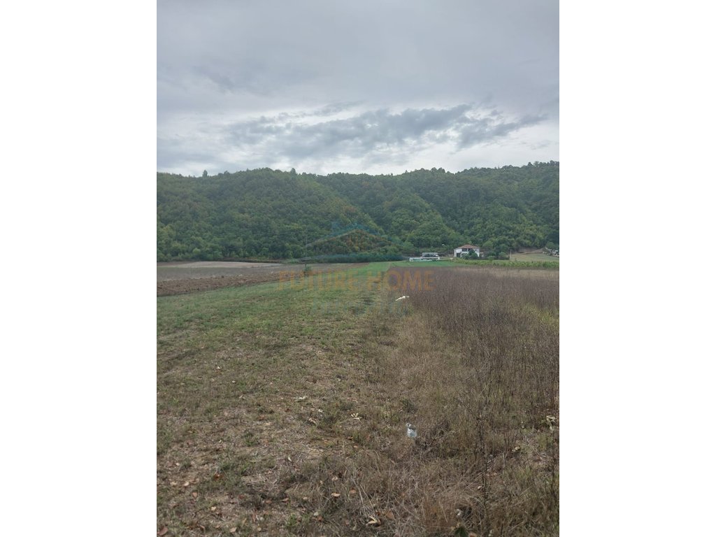 For sale, Land, Baldushk, Tirana.