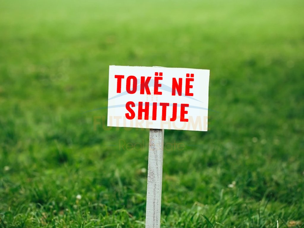 Shitet, Toke, Boshtove, Kavaje