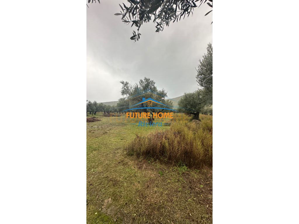 Land for sale, Qeparo village.