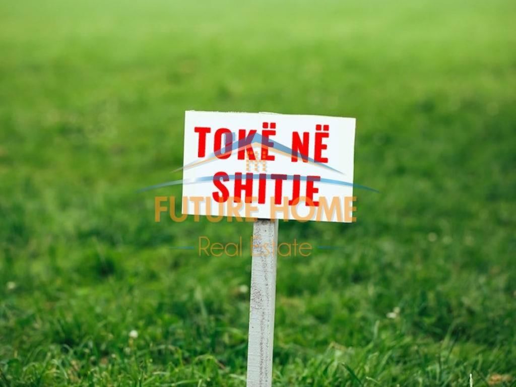 Shitet, Toke, Qerret, Durres.