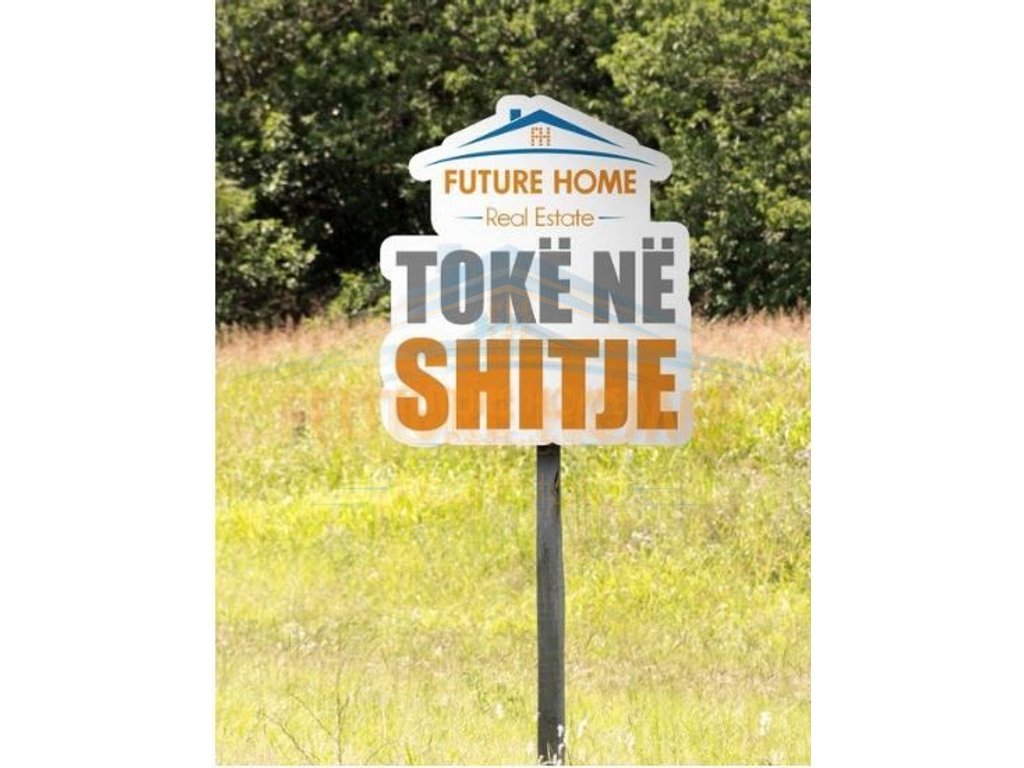 Shitet, Toke Vreshte, Spille.