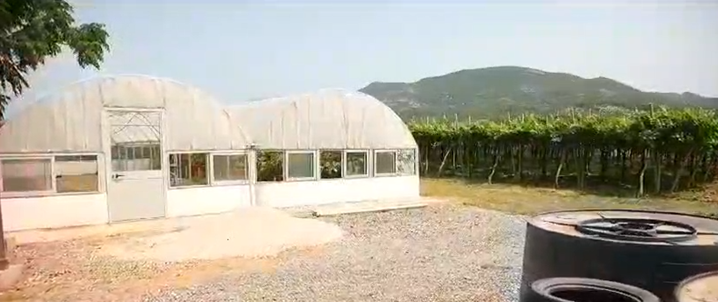 Agricultural Farm with Vineyard - Zejmen, Lezhe