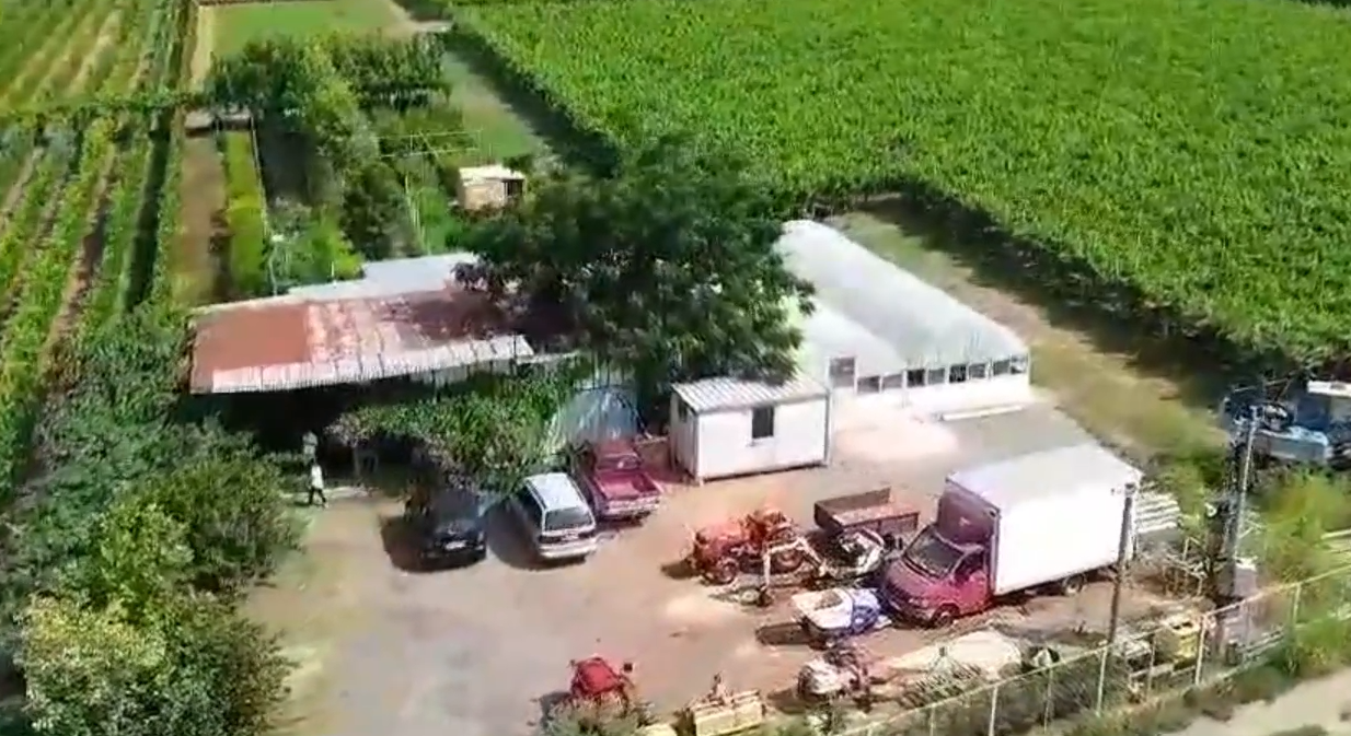 Agricultural Farm with Vineyard - Zejmen, Lezhe
