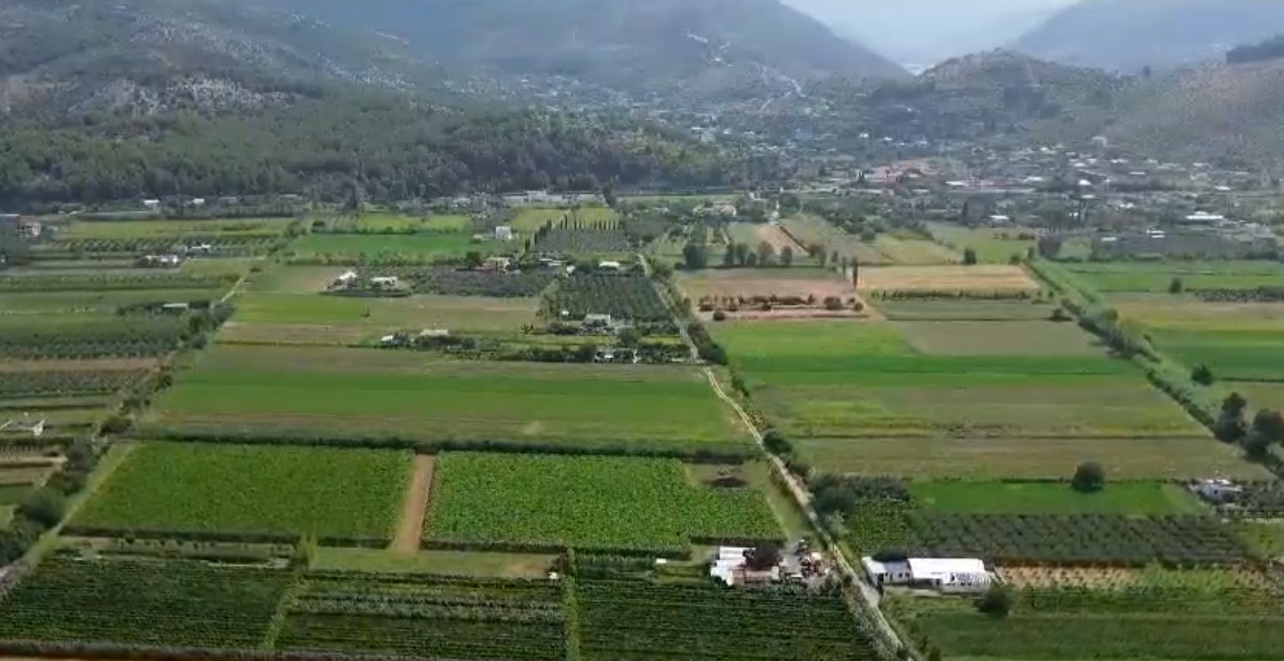 Agricultural Farm with Vineyard - Zejmen, Lezhe