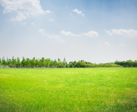 Land, Ishull-Shëngjin