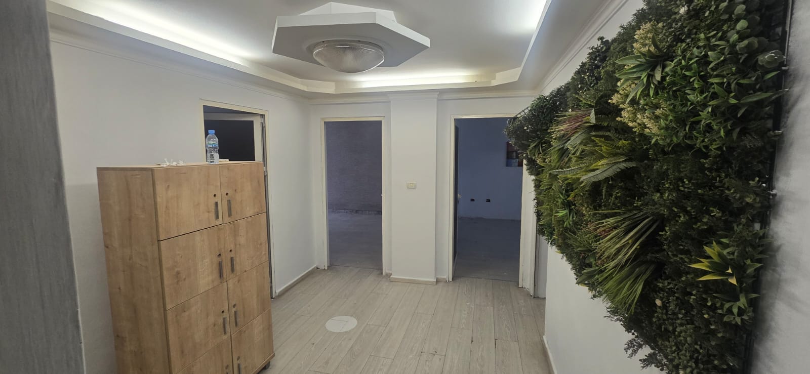 Corporate Space, Sheshi Wilson