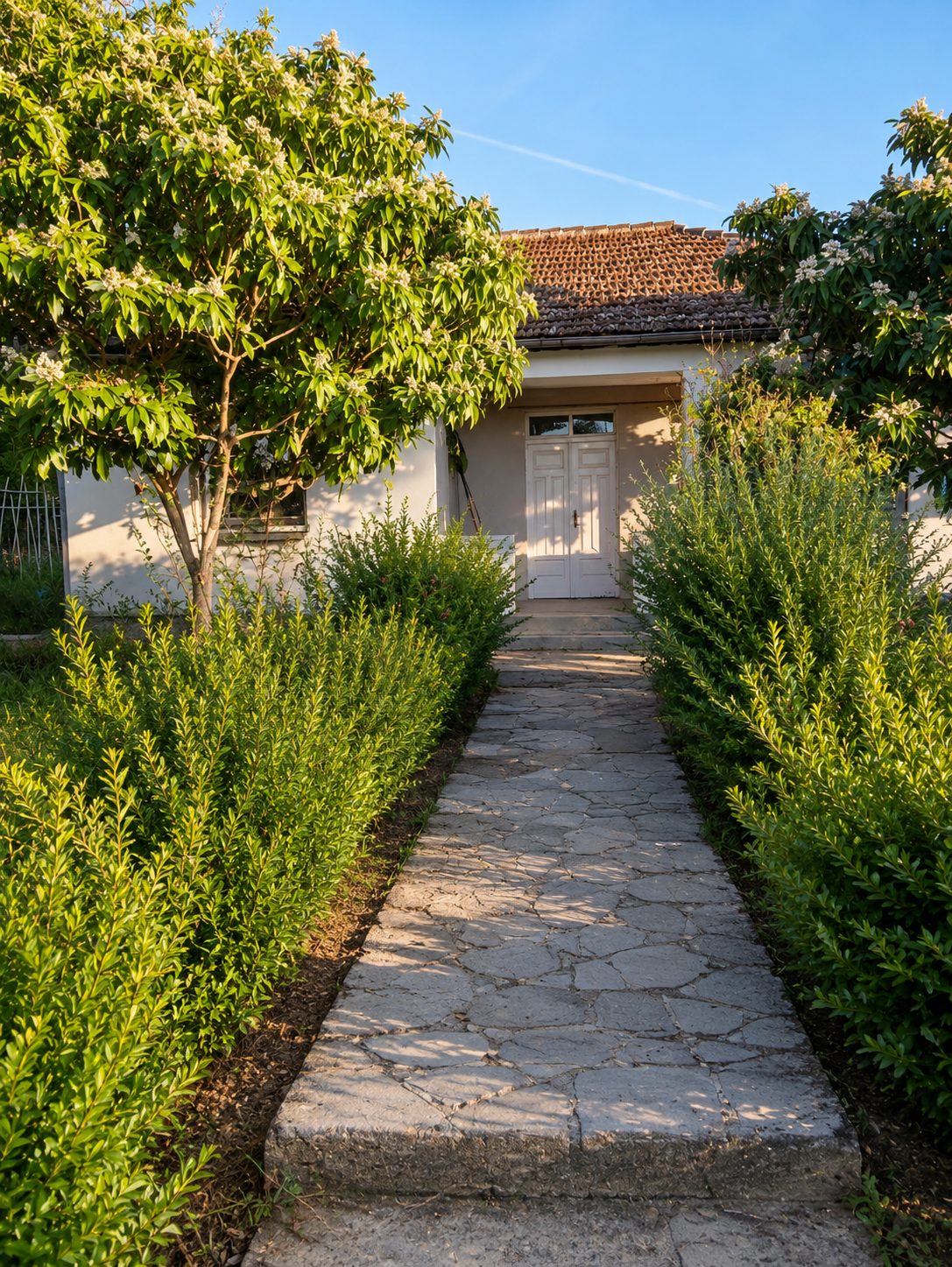 House for renovation - Shijak, Durres (1/5)