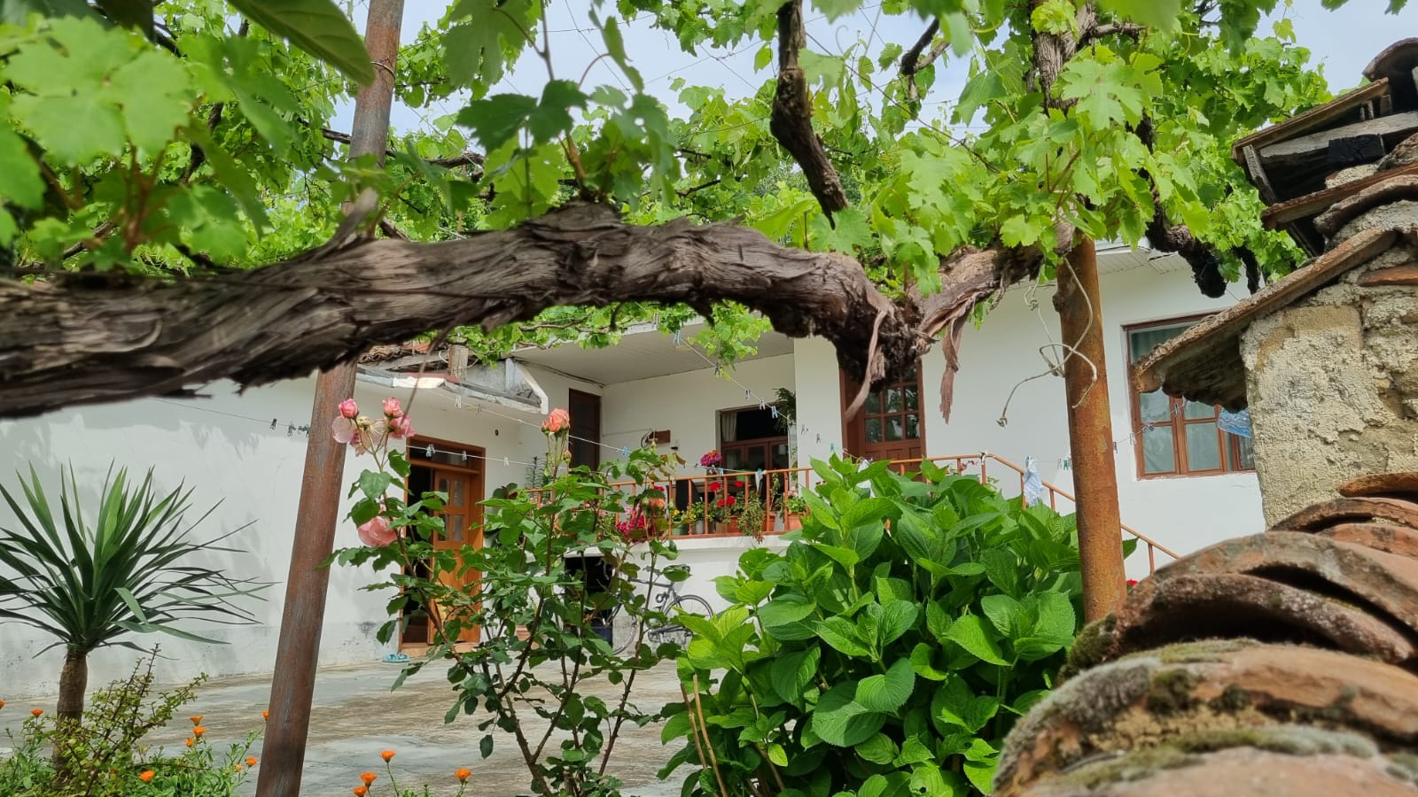 Furnished House, Ibë village, Tirana